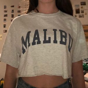 new brandy melville malibu cropped tee